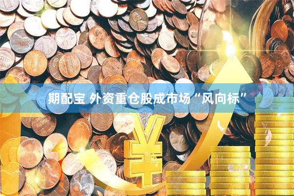 期配宝 外资重仓股成市场“风向标”