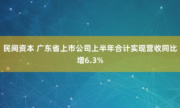 民间资本 广东省上市公司上半年合计实现营收同比增6.3%